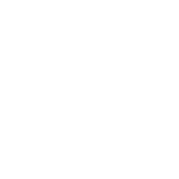 DVD Logo